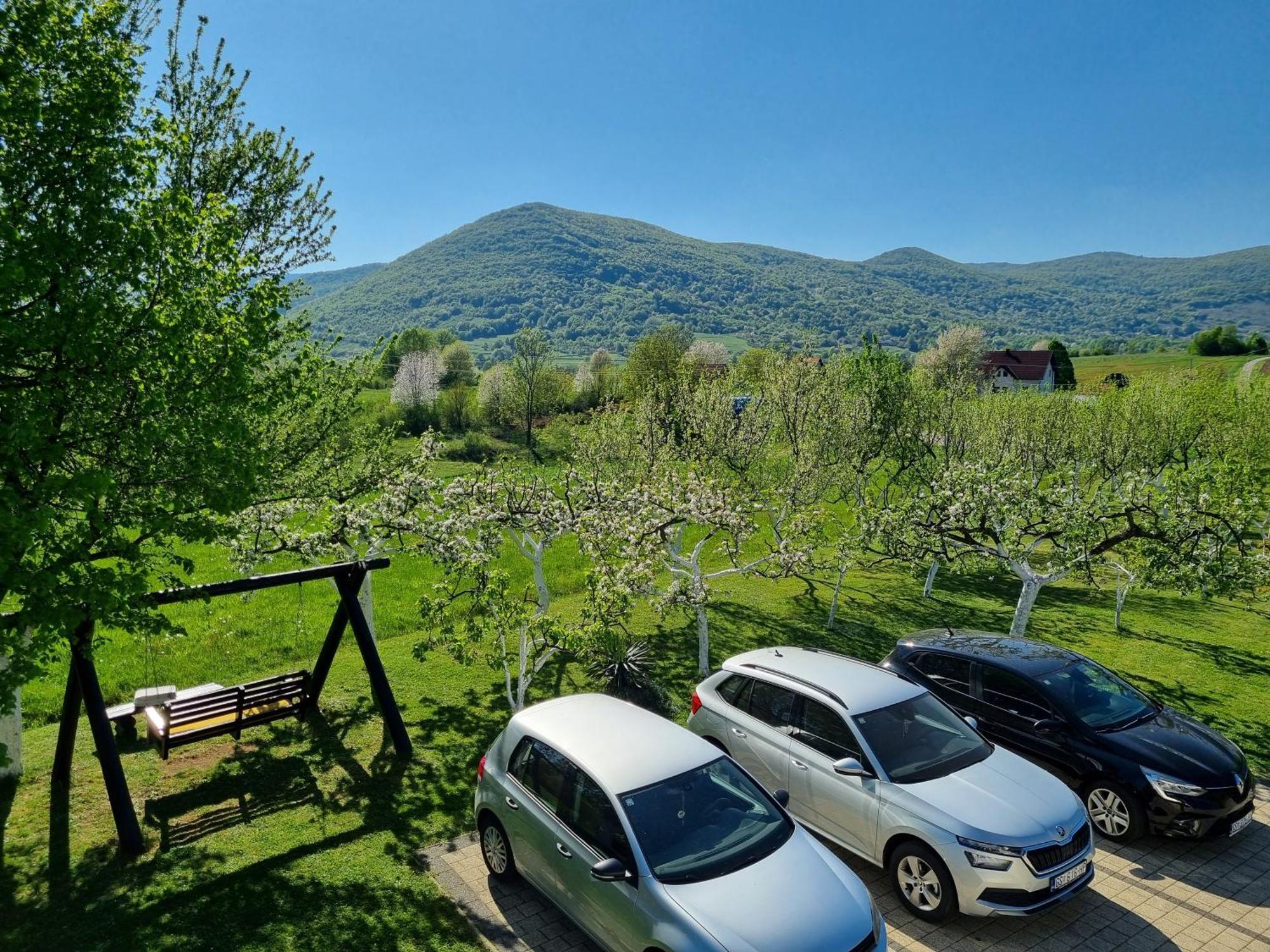 Apartment Rosandic Smoljanac Exterior photo